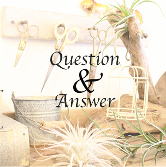 Question&Answer