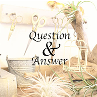 Q&A